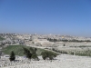 Jeruzalės vaizdas nuo Alyvų kalno